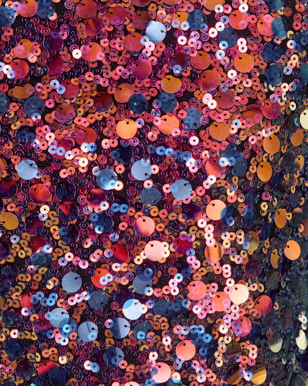 Joelie Iridescent Sequin Top