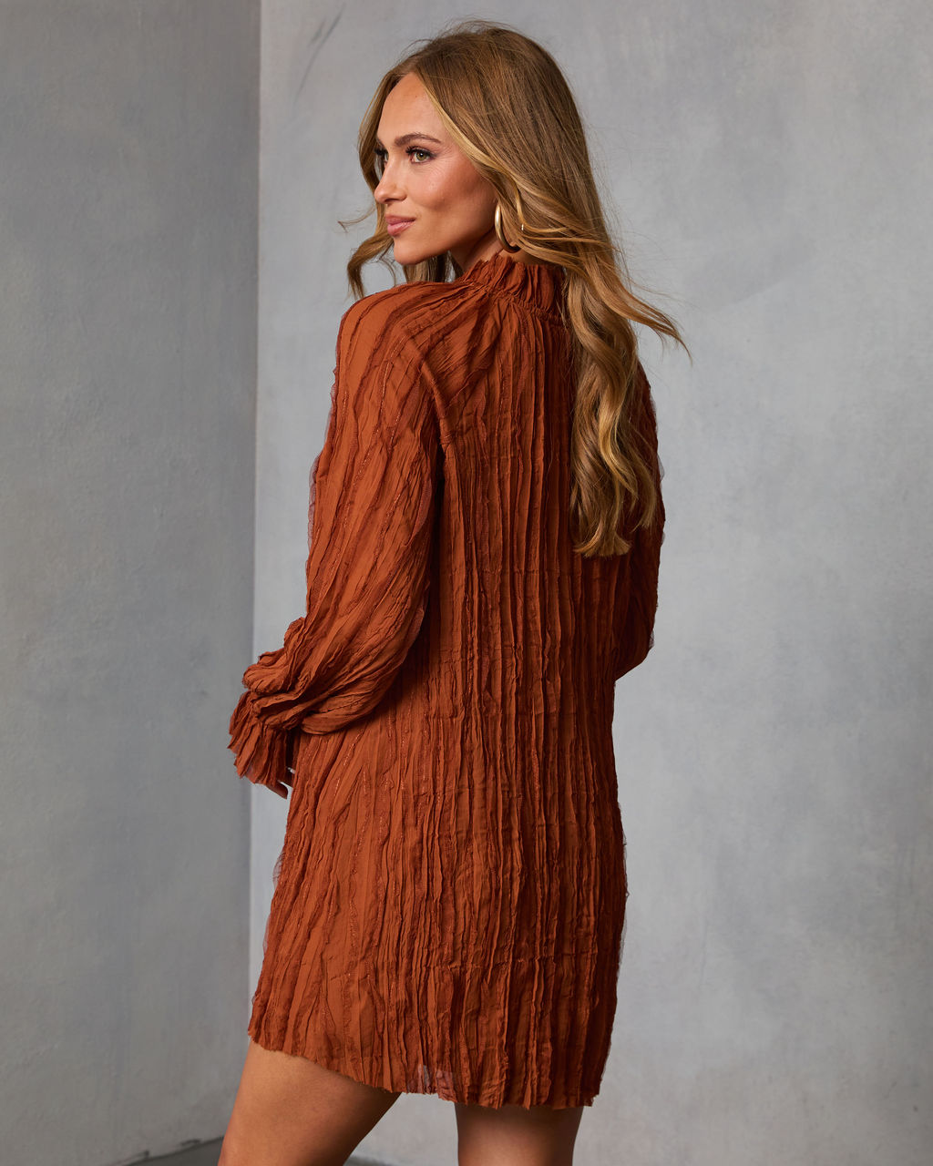 Autumn Stone Shift Chiffon Mini Dress