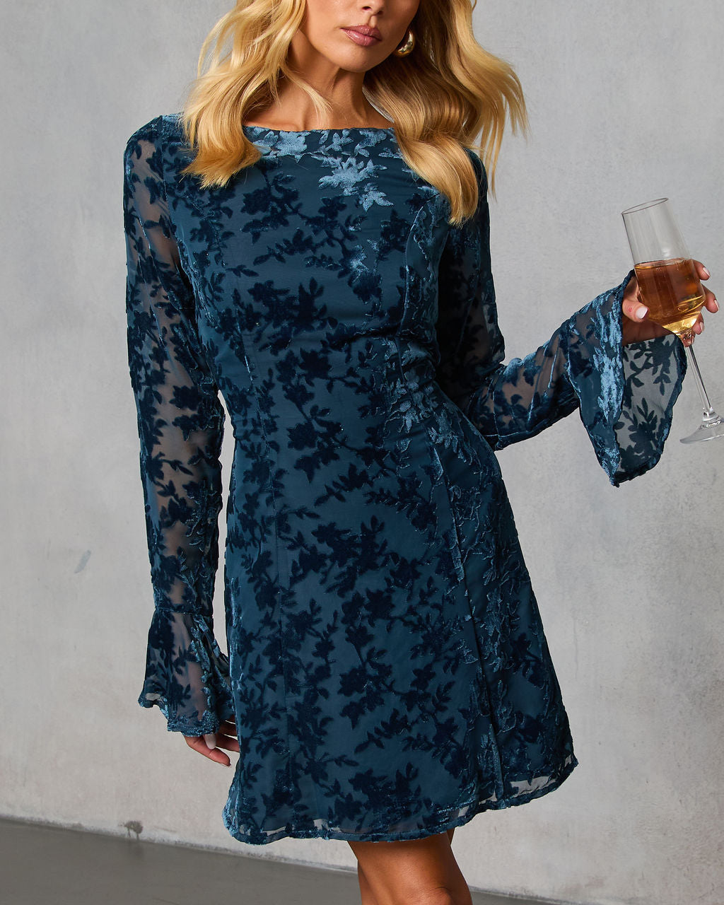 Rheba Flocked Velvet Mini Dress